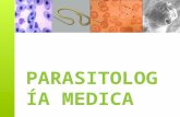 Parasitología Medica Generalidades