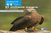 11 Milano Negro