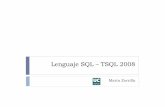 Tema 3 - Lenguaje SQL T-SQL 2008