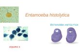 5 Amibiasis entamoeba hystolitica.pptx