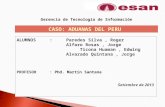 Caso Aduanas Del Peru - Roger