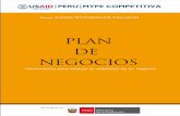 Plan Negocios Peru