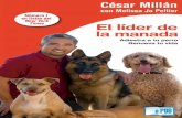 El Lider de La Manada - Cesar Millan