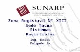 Sistema Registral Sunarp 120553533739028 5