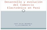 Oportunidades de Comercio Electrónico en Perú.pptx