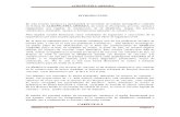 Albanileria Armada - Informe