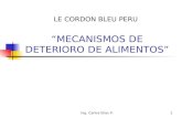 2 Deterioro - Cordon Bleu (1)