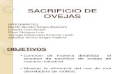 SACRIFICIO DE OVEJAS   2.ppt