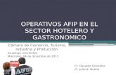 Operativos AFIP - Sector Hotelero y gastronómico - Dic/2013