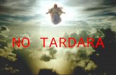 No Tardara