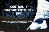 Control y Tratamiento de Evc