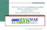 3.- Probioticos Ecobiosmar-dr Blundo
