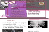 Anatomia Dental Radiografica