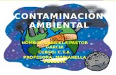 Contaminacion Ambiental Diapositiva Primero A