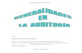 Generalidades en La Auditoria