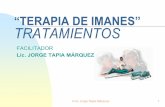2.4. magnetoterapia TRATAMIENTOS 2009