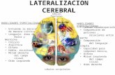 Lateralizacion Cerebral