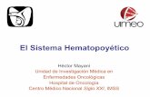 Curso de Actualizacion en Hematologia Diagnostica y Terapeutica Para Residentes 1.1