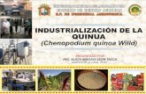 15 a. Leon Industrializacion Quinua - Arequipa