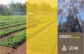 Libro FEDEMADERAS La Reforestacion en Colombia Vision de Futuro