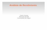 ANALISIS DEL RENDIMIENTO.pdf