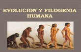 Evolucion y Filogenia Humana Diapositivas Gloria Elsa