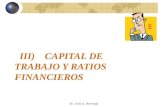 Copia de Tema 3 Capital de Trabajo y Ratios Financieros