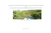 Plan Maestro Preliminar RVS Bosque Nublado de Udima Web