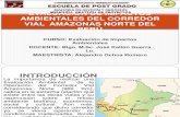 EVALUACIÓN DE IMPACTOS AMBIENTALES DEL CORREDOR VIAL AMAZONAS NORTE DEL PERU