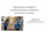 Agricultura Andina