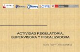 Actividad Regulatoria Supervisora Fiscalizadora Pe