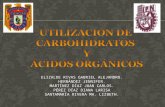 SEMINARIO UTILIZACION DE CARBOHIDRATOS Y AC. ORGANICOS.ppt