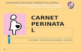 Carnet Perinatal
