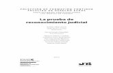 La Prueba de Reconocimiento Judicial. Autores + Presentacion + Indice