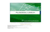 Libro Algebra Lineal
