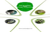 Guia de Cuidados Para Tortugas Semiacuaticas Tortuamigos (1)