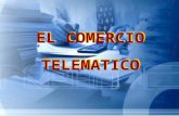 Exposicion Comercio Telematico