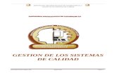 Gestion de Los Sistemas de Calidad Clase TEC II, Plan 2010 Unidad II