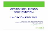 Gestion Del Riesgo Ocupacional ANDI_20100218_104003