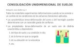 CONSOLIDACIÓN UNIDIMENSIONAL DE SUELOS