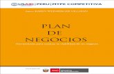 Plan de Negocios USAid Peru Mype Competitiva[1]