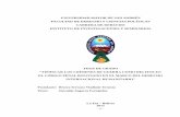 TIPIFICAR LOS CRÍMENES DE GUERRA COMO DELITOS EN EL CÓDIGO PENAL BOLIVIANO EN EL MARCO DEL DERECHO INTERNACIONAL HUMANITARIO.pdf