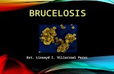 Expo Brucelosis
