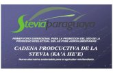 Cadena Productiva Stevia Versionreduc