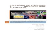 relatorio microbiologia elementar