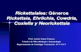 Generos Cowdria, Coxiella, Ehrlichia, Neorickettsia y Rickettsia 2013