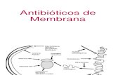 Antibioticos de Membrana Terapeutica