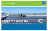 Estudios de Caso PNUD: COOPETÁRCOLES R.L, Costa Rica