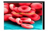 Globulos Rojos y Hemoglobina 2013