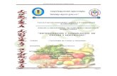 Refrigeracion y Congelacion de Frutas y Hortalizas ( Trabajos Para Presentar